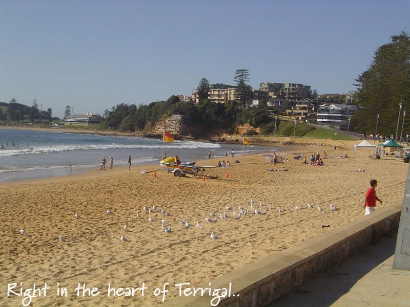 8/13 Campbell Crescent, Terrigal NSW 2260