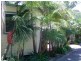 29/160 The Round Dr, Avoca Beach NSW 2251