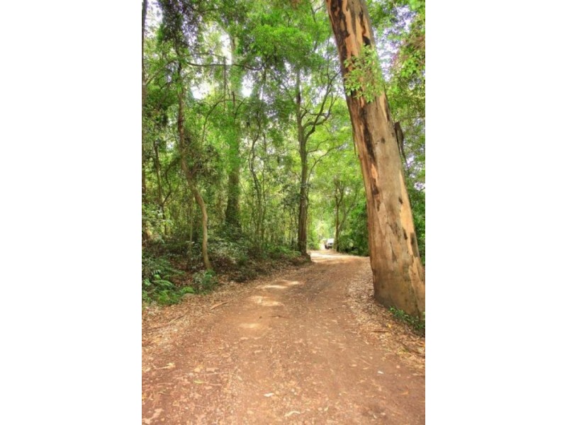 642 The Scenic Road, Macmasters Beach NSW 2251