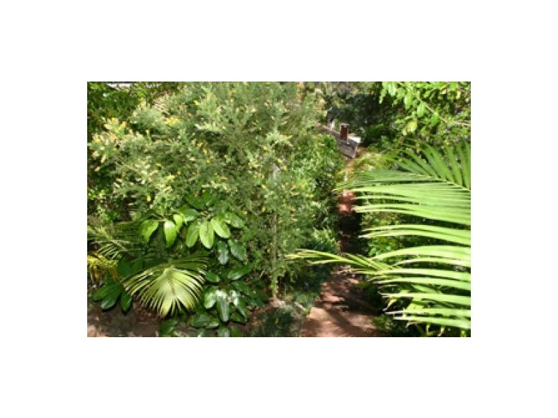 19 Alanna Street, Terrigal NSW 2260