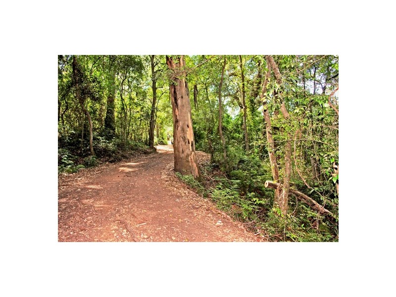 642 The Scenic Road, Macmasters Beach NSW 2251