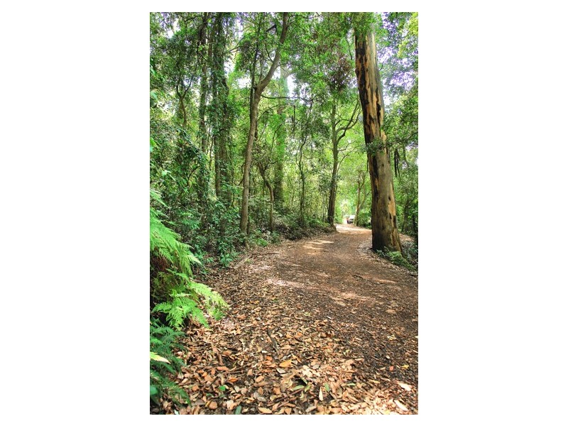 642 The Scenic Road, Macmasters Beach NSW 2251