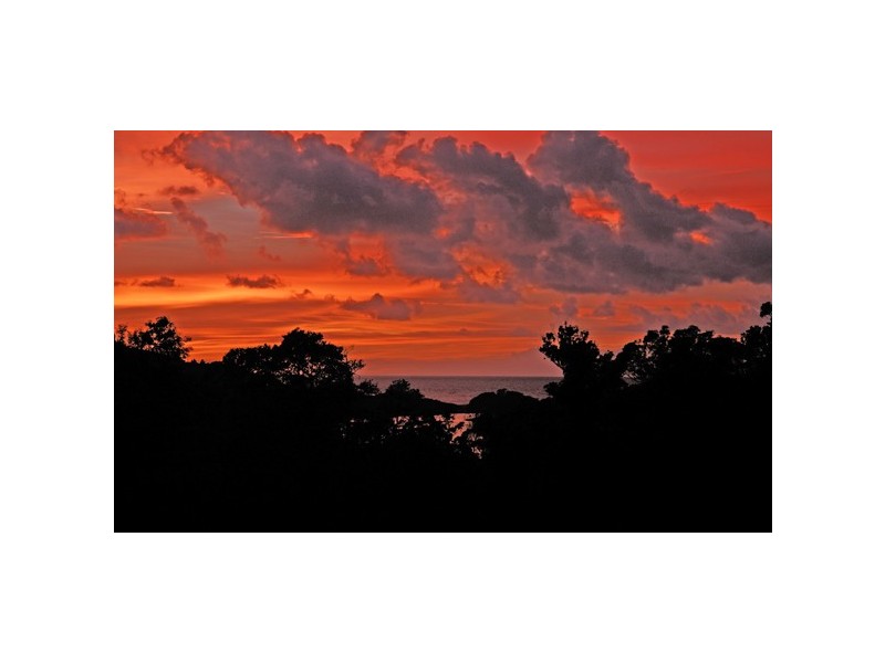642 The Scenic Road, Macmasters Beach NSW 2251