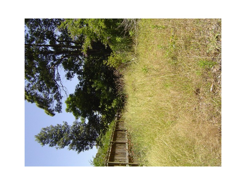 89A Old Gosford Road, Wamberal NSW 2260