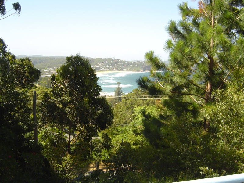 143 Cape Three Points Road, Avoca Beach NSW 2251