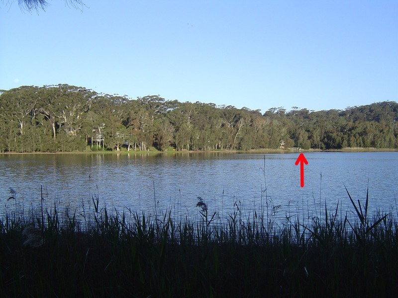 Avoca Beach NSW 2251