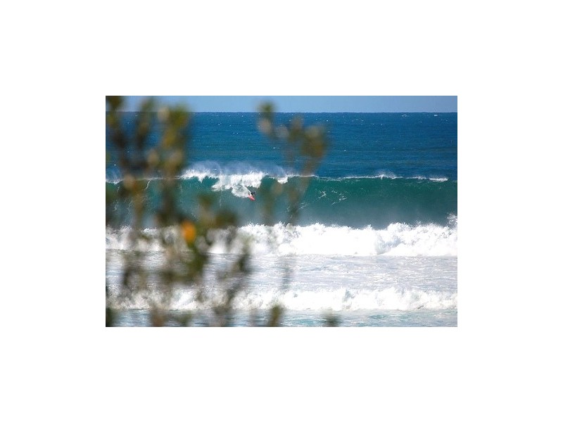 Forresters Beach NSW 2260