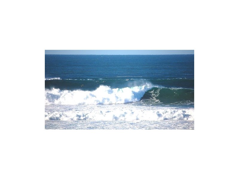 Forresters Beach NSW 2260