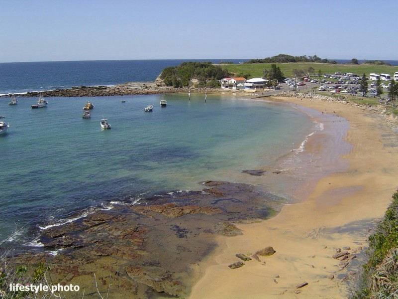 Terrigal NSW 2260