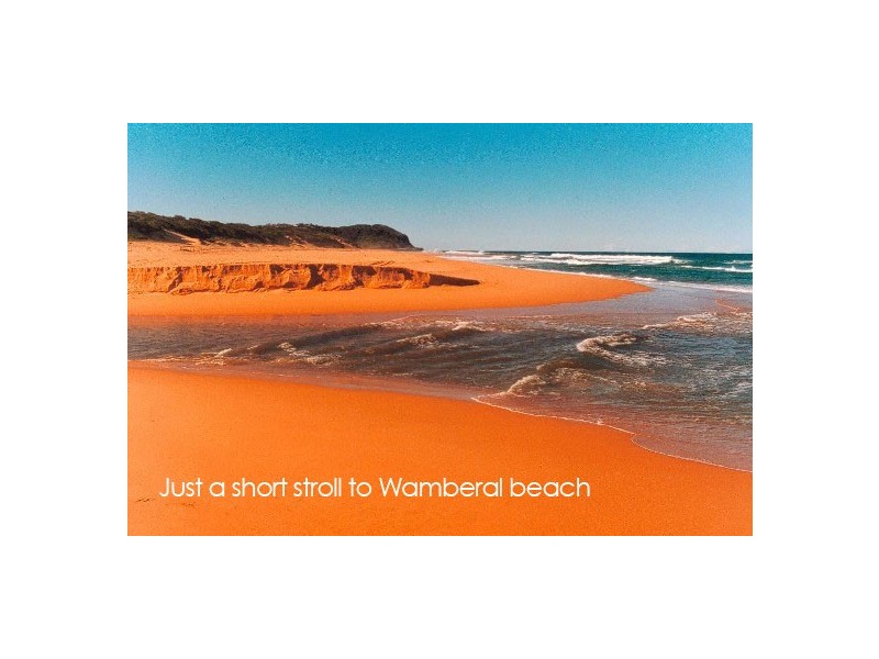Wamberal NSW 2260