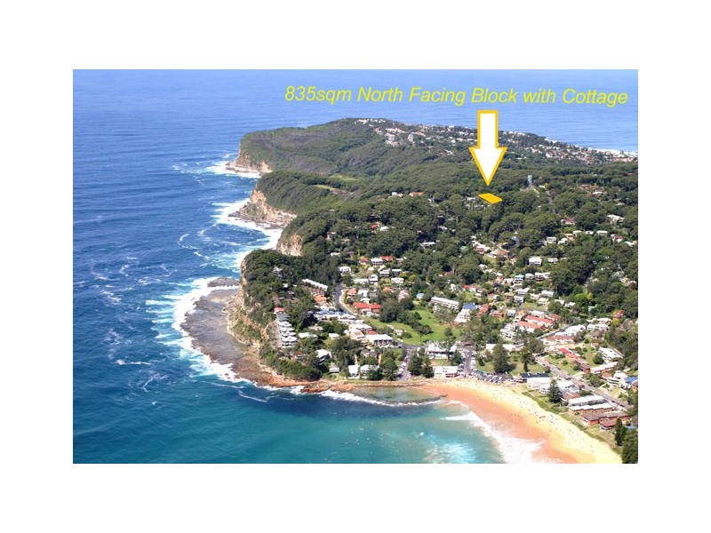 8 Endeavour Drive, Avoca Beach NSW 2251