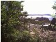 Terrigal NSW 2260