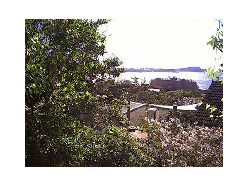 Terrigal NSW 2260