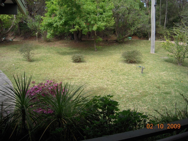 Hillside Road, Avoca Beach NSW 2251