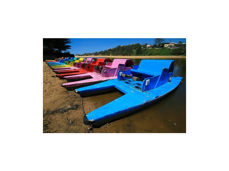 Wamberal NSW 2260