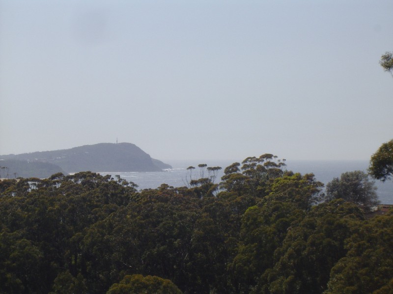 135 Scenic Highway, Terrigal NSW 2260