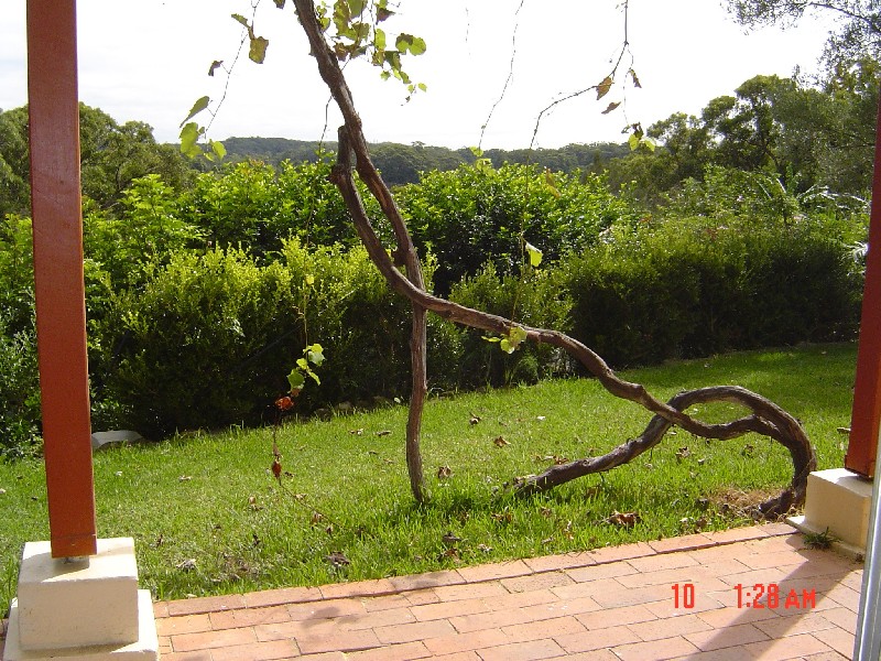 66 Nooree Lane, Avoca Beach NSW 2251