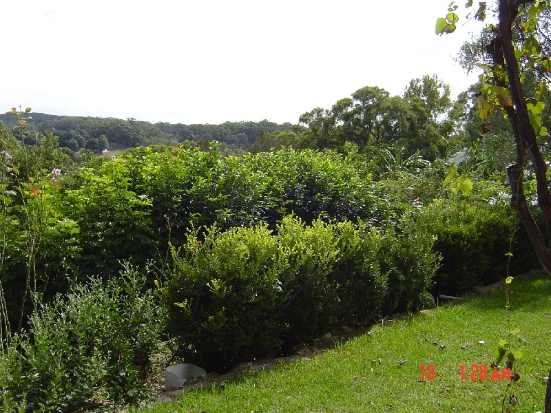 66 Nooree Lane, Avoca Beach NSW 2251