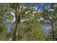 Green Point NSW 2251