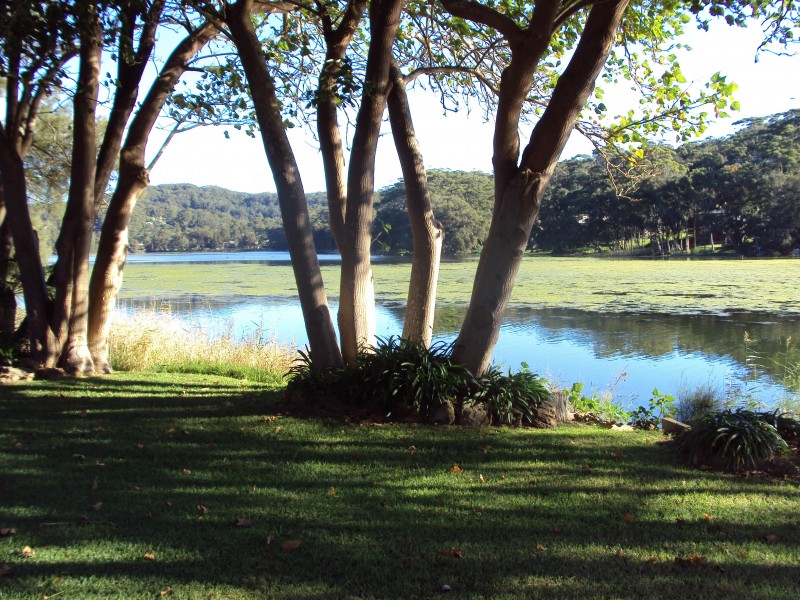 Avoca Drive, Avoca Beach NSW 2251