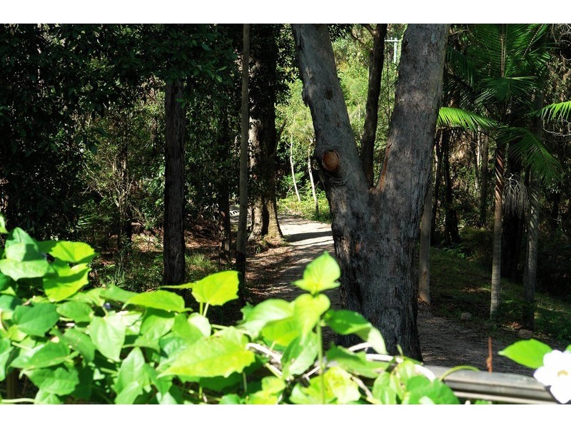 11 Portsmouth Road, Erina NSW 2250