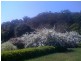 Macmasters Beach NSW 2251