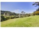 715 The Scenic Road, Macmasters Beach NSW 2251