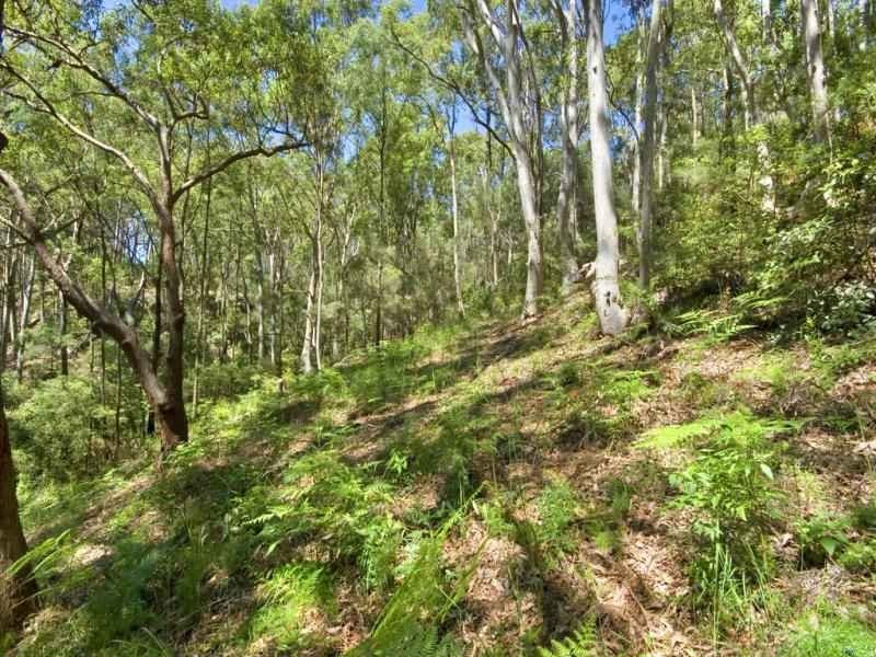 37A Highview Road, Pretty Beach NSW 2257
