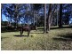 Tumbi Umbi NSW 2261