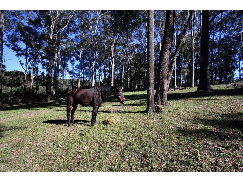 Tumbi Umbi NSW 2261