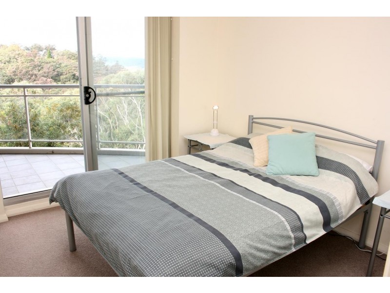 363/80 John Whiteway Drive, Gosford NSW 2250