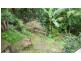 14 Karwin Ave, Springfield NSW 2250