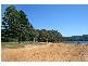 13 Ficus Avenue, Avoca Beach NSW 2251
