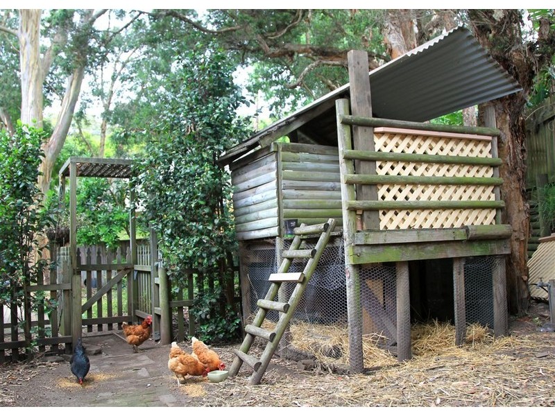 308 Avoca Drive, Avoca Beach NSW 2251