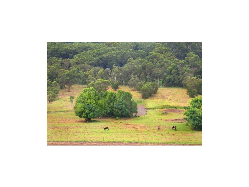 647 The Entrance Road, Wamberal NSW 2260