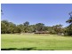 Tumbi Umbi NSW 2261