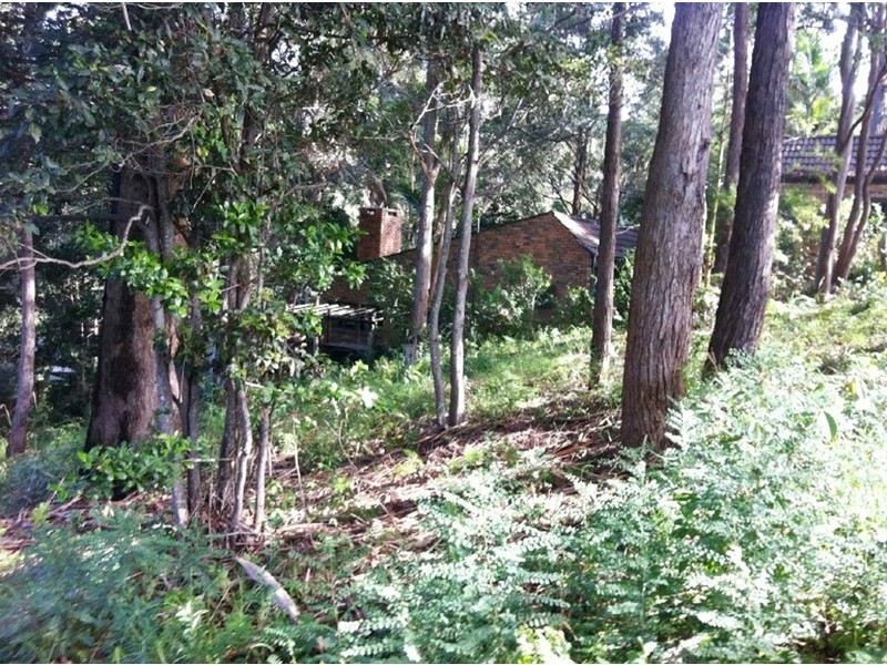 20 Chapman Cresent, Avoca Beach NSW 2251