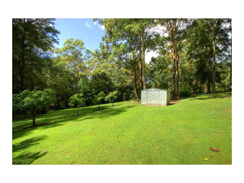 Wamberal NSW 2260