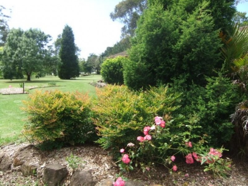 449 Tumbi Road, Wamberal NSW 2260