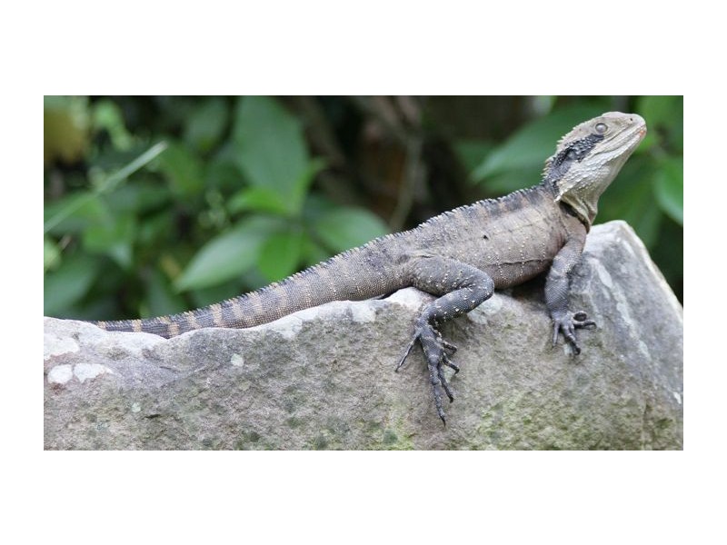 Macmasters Beach NSW 2251