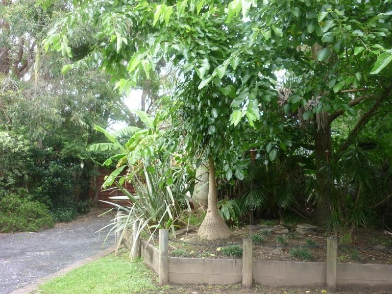 28 Cullwulla Street, Berkeley Vale NSW 2261