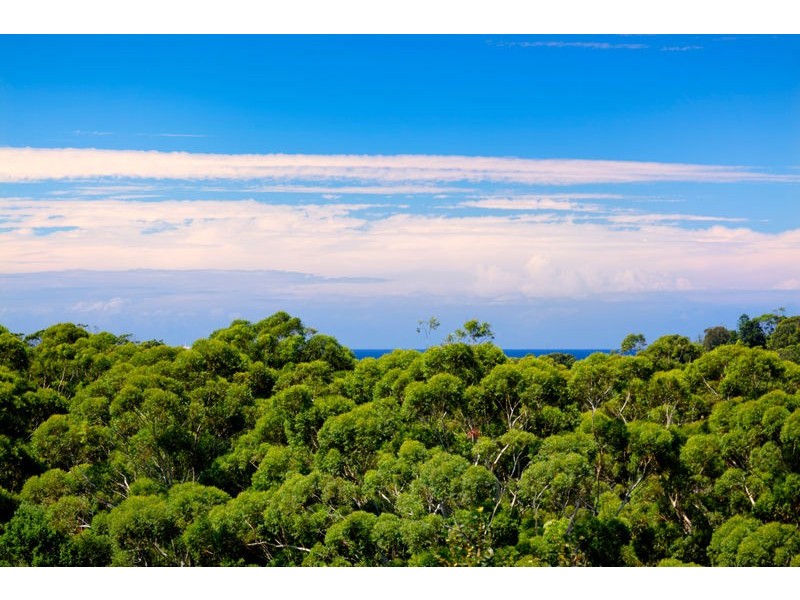 11 Cheswick Street, Avoca Beach NSW 2251