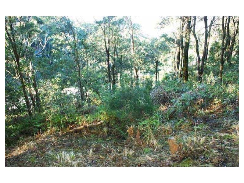 4 Surf Rider Ave, North Avoca NSW 2260