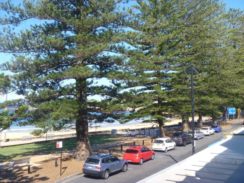 Level 1/72 Terrigal Esplanade, Terrigal NSW 2260