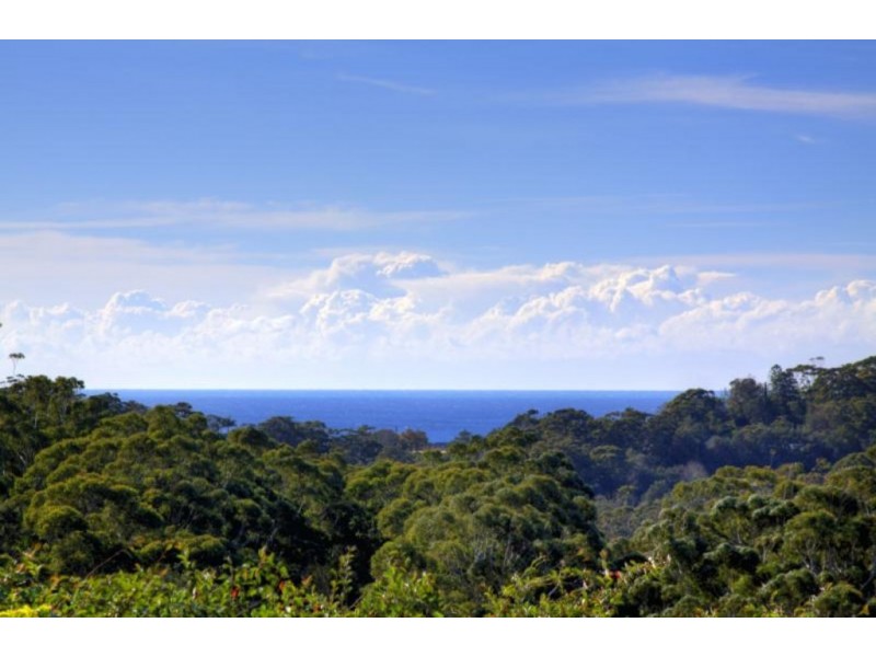 229 Hillside Road, Avoca Beach NSW 2251