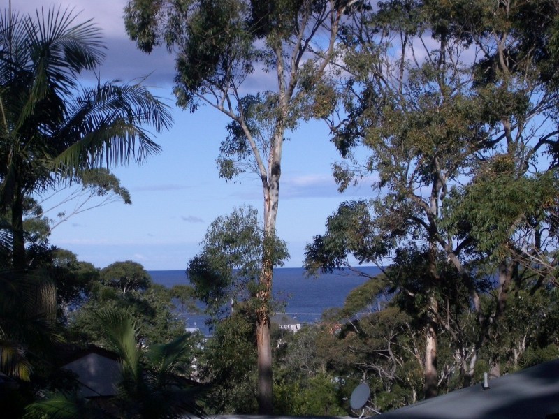 29 Easter Parade, North Avoca NSW 2260