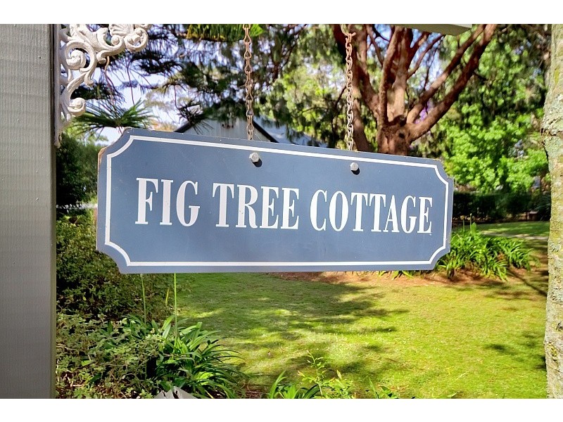 247 Avoca Drive, Kincumber NSW 2251