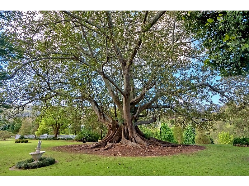 247 Avoca Drive, Kincumber NSW 2251