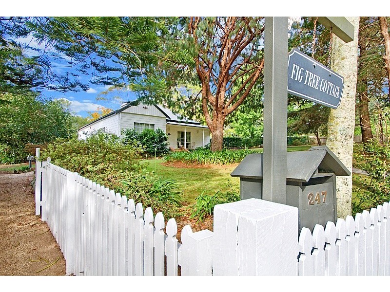 247 Avoca Drive, Kincumber NSW 2251