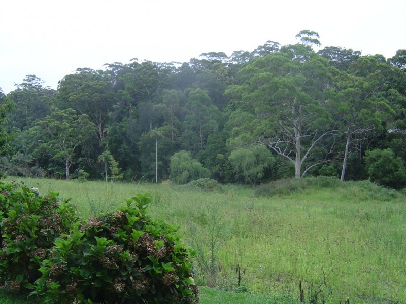 Avoca Beach NSW 2251